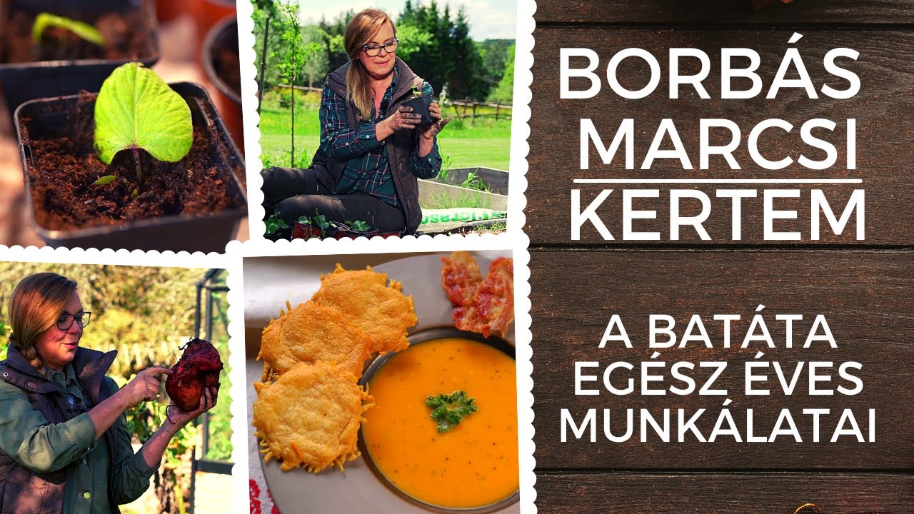 Borbás Marcsi: Kertem - A batáta egész éves munkálatai
