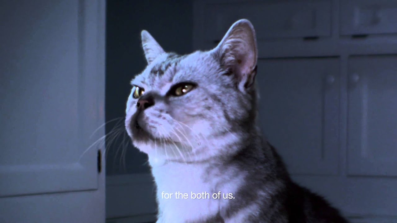 Litter Genie Cat Litter Disposal System at Bed Bath & Beyond
