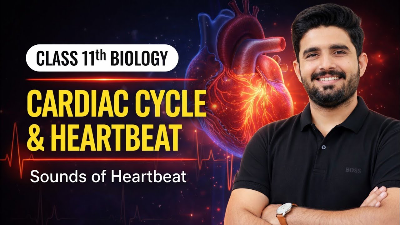 Cardiac Cycle Heartbeat| Sounds of Heartbeat (Lubb Dubb) | Diastole & Systole | Class 11 Biology