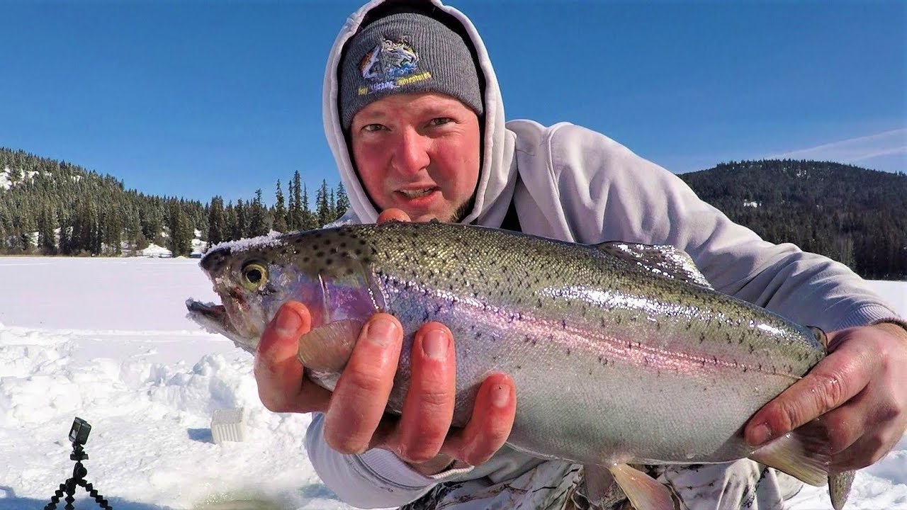 Ice Fishing Rainbow Trout With No Electronics (British Columbia)