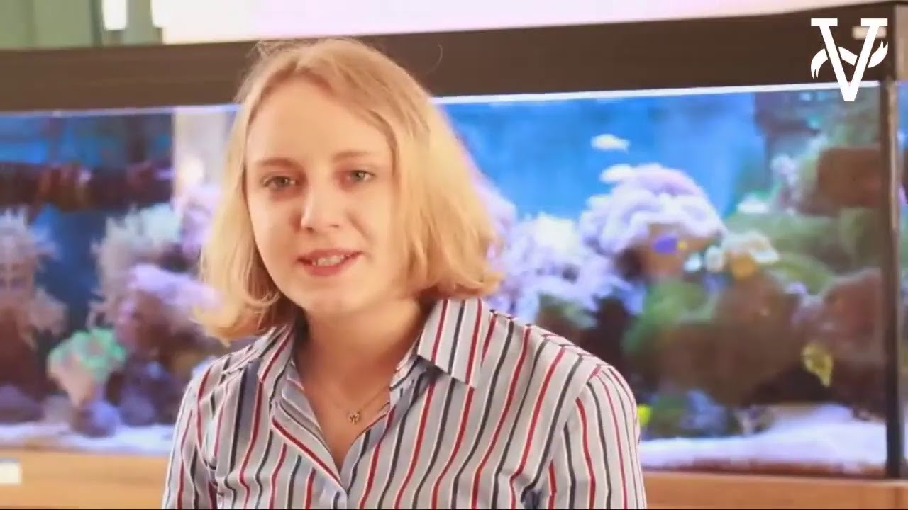 WIRTUALNY DZIEŃ OTWARTY V LO