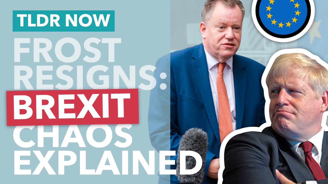 Britain's Brexit Negotiator Quits: What Now for Brexit? - TLDR News