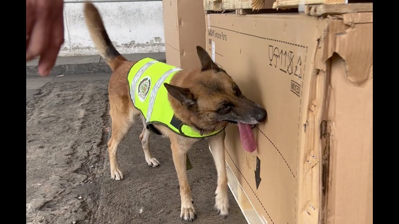 Policías al límite - capítulo 8 - desde Santa Marta