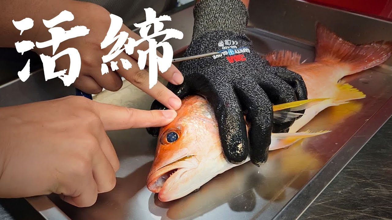手把手教你活締! 食魚教育活動 看過你會更珍惜食材
