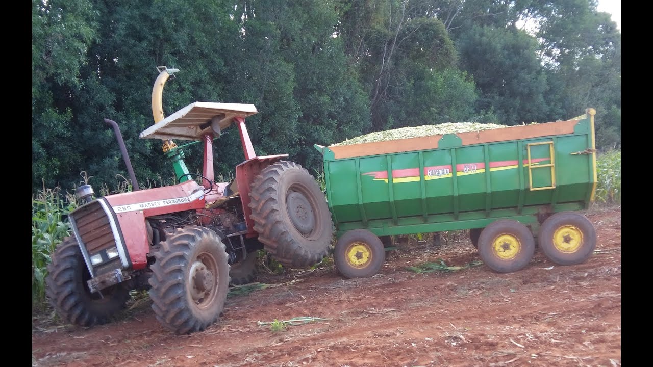 Silagem 2015 : Deu ruim.