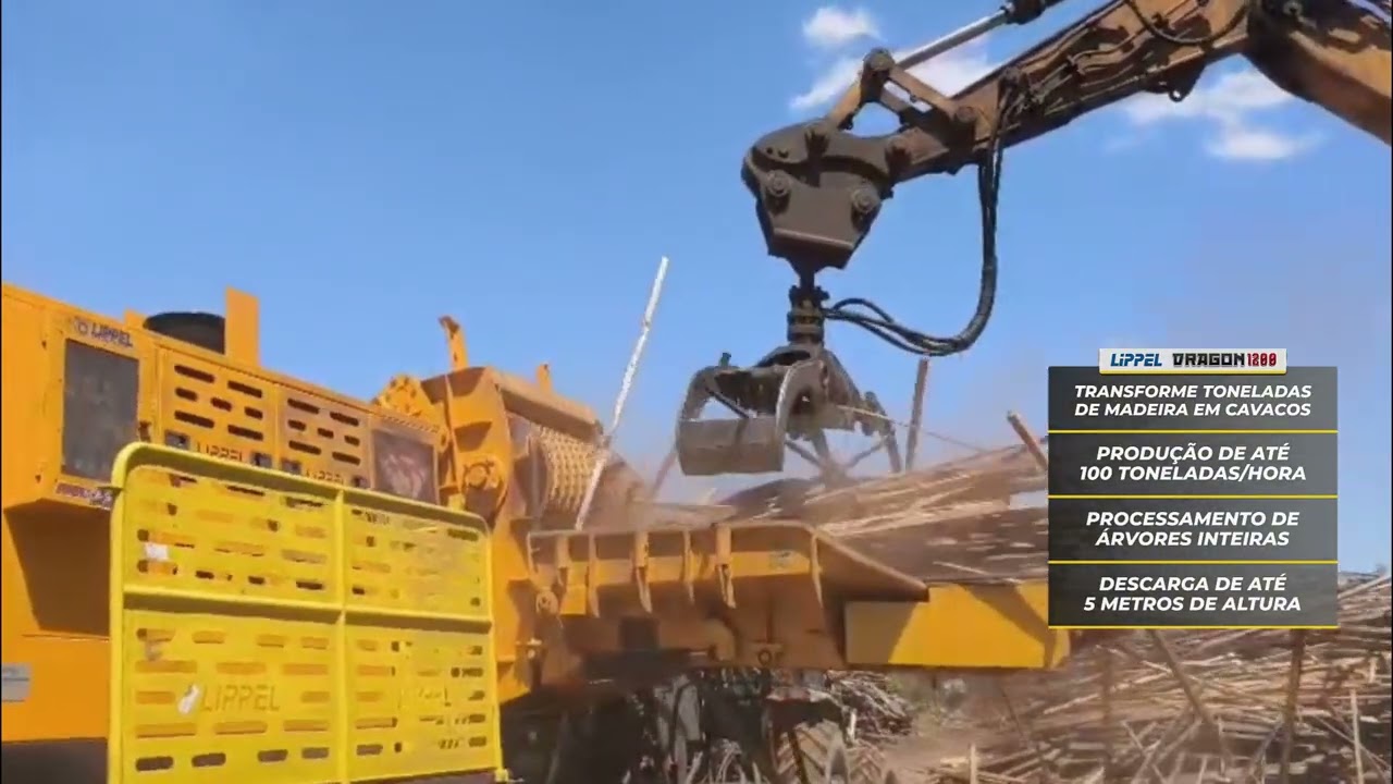 Picador Florestal Lippel Dragon no Chile em 2026