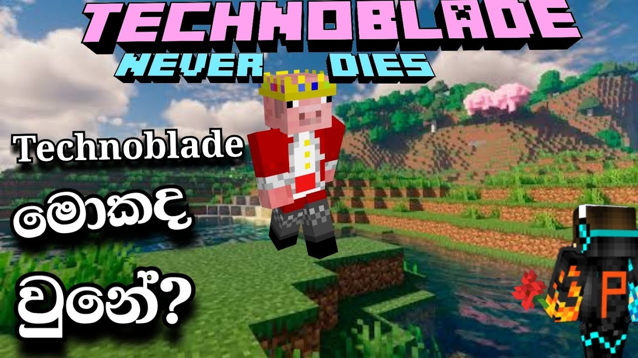 Technoblade ට මොකද වුනේ? | Technoblade Sinhala Review | @Technoblade