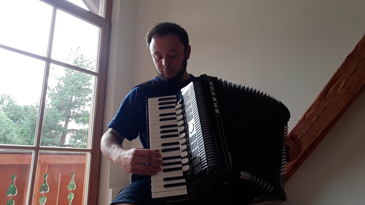 Donkey Kong Country 2 - Jib Jig Accordion Cover
