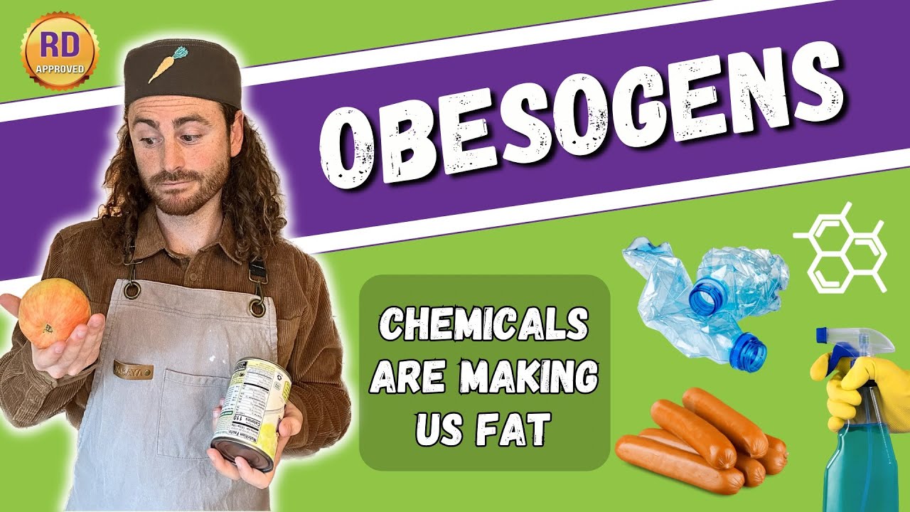 What Are Obesogens and How Are They Making Us Fat? | Dietitian Explains