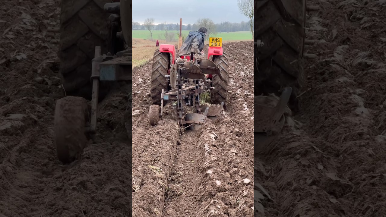 Drew McKendrick at the Kingdom of Fife ploughing match 2026 in his Massey Ferguson 135 tractor