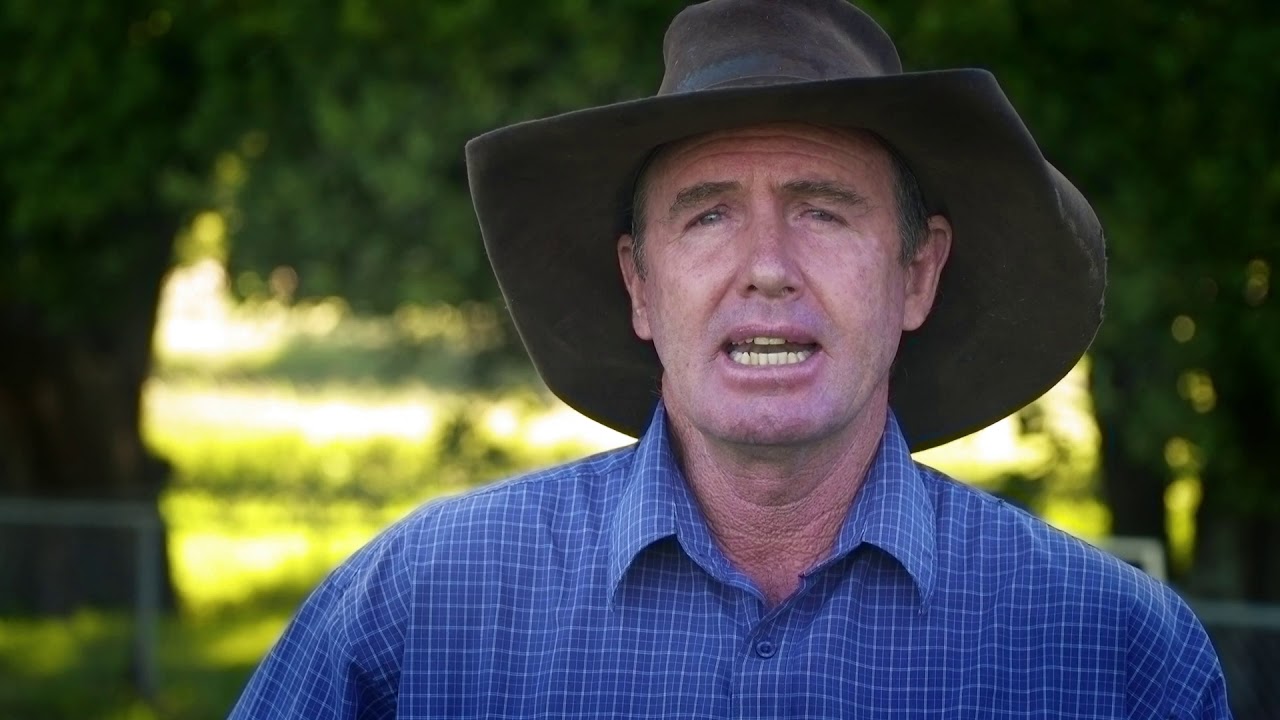Improving tropical cattle productivity using genetic selection – Russell Lethbridge