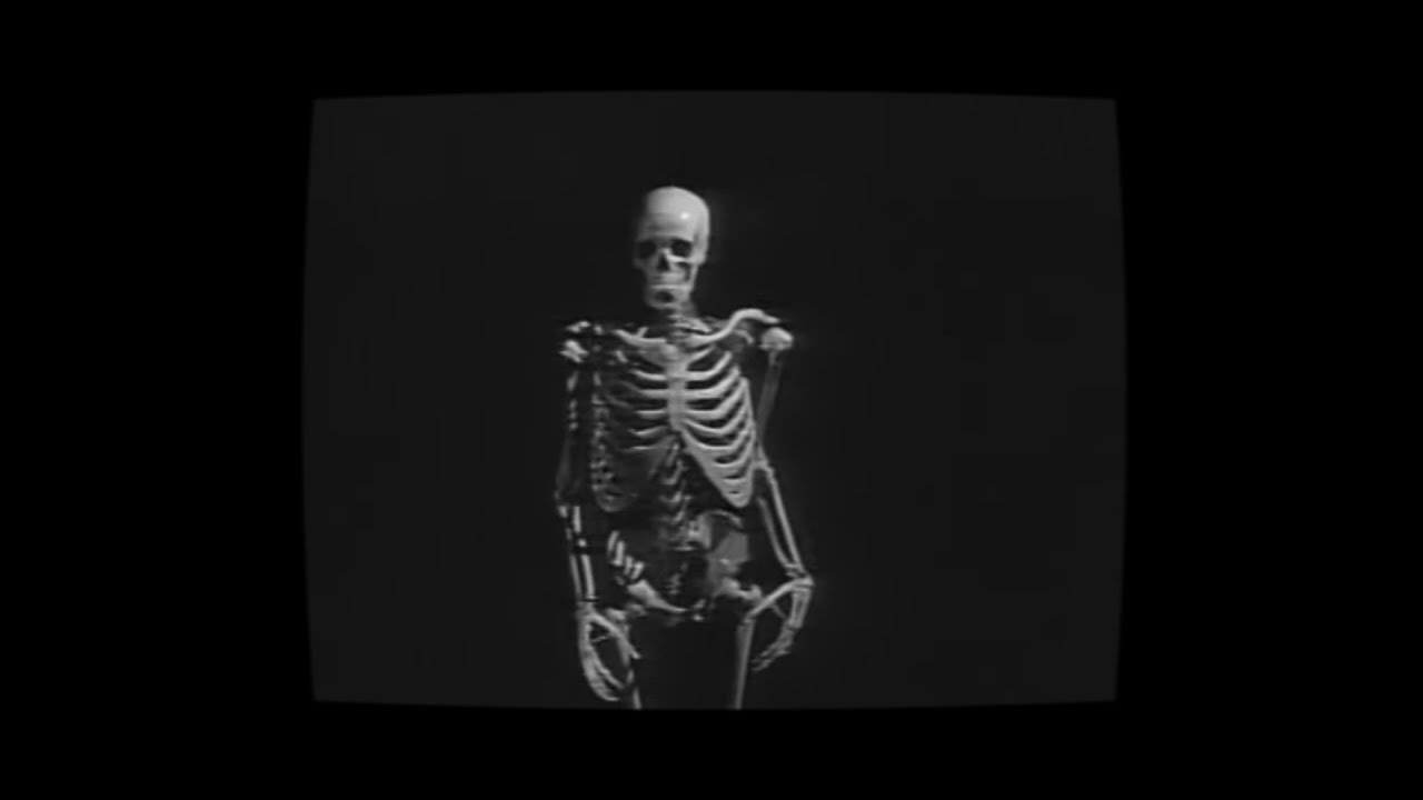 DARK VISIONS (VIDEO)