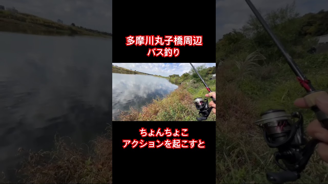 2025年11月16日多摩川バス釣り