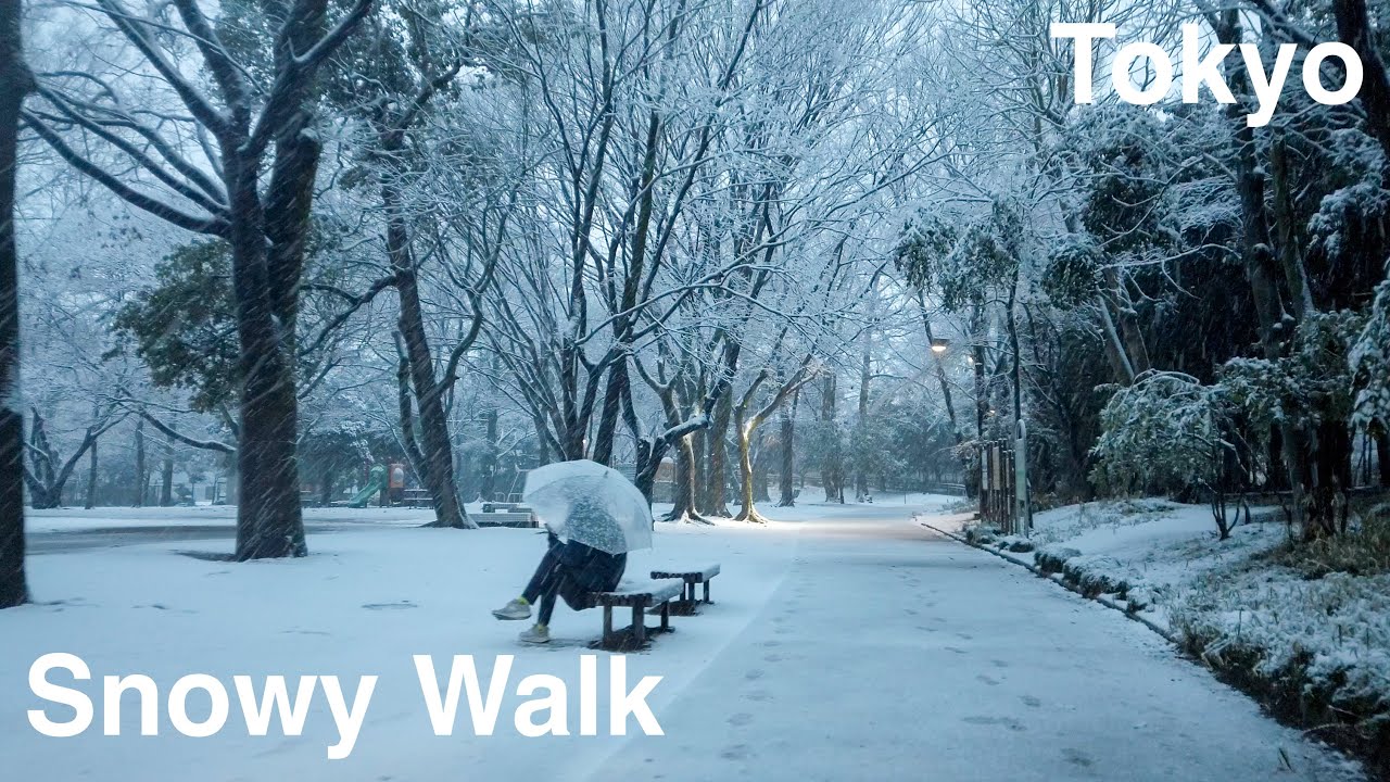 Snowy Walk in a Tokyo Park [4k]