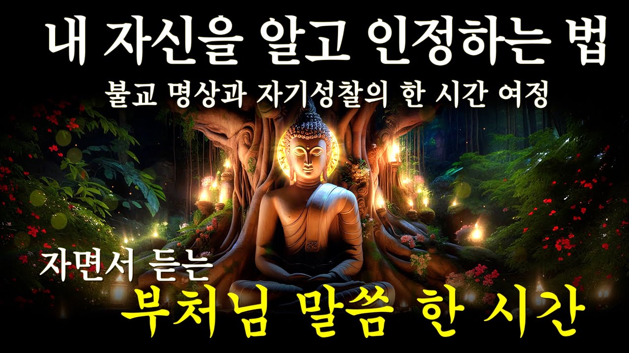 내 자신을 알고 인정하는 법 | 불교 명상과 자기성찰의 한 시간 여정 #한말삼하루 #부처님말씀 #멍언 #부자의삶