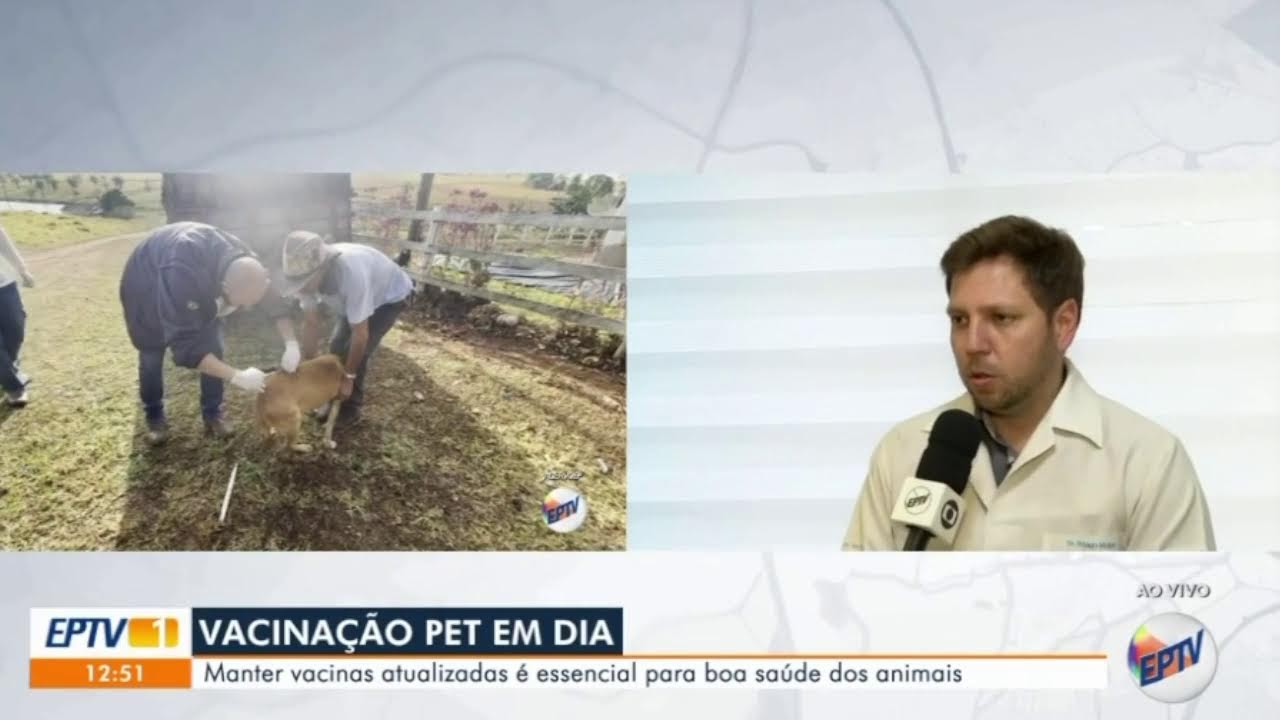 Rádio Independência Monte Santo de Minas Terça-feira 03 03 26