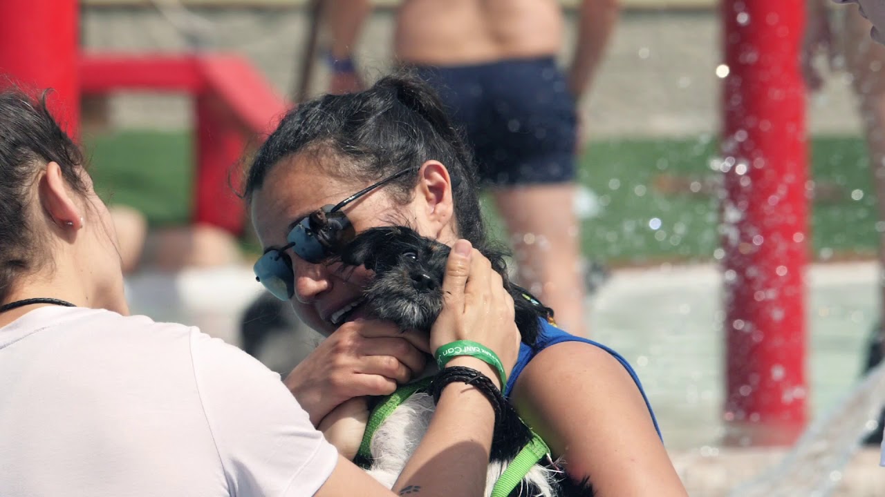 Perros al Agua, el primer aquapark canino de Europa