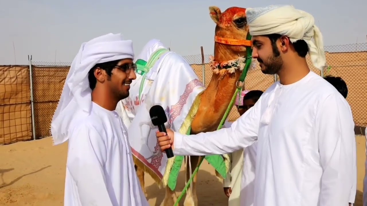 فقرة عزبة الناموس في مهرجان صالح بن سعيد المخيبي واخوانه ميدان سيح الرمث جعلان بني بوعلي #جعلان