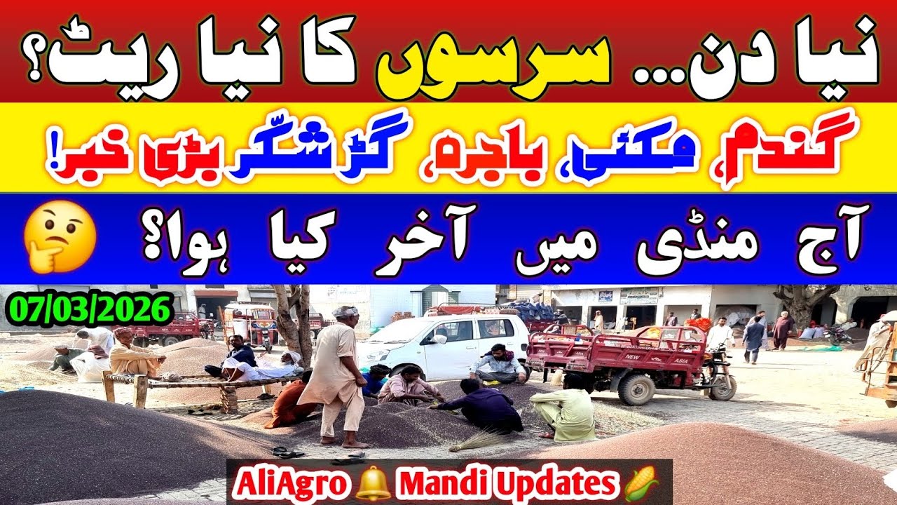 Sarson Ka Naya Rate? | Wheat Makki Bajra Gur Shakkar Mandi Update Today 07 March 2026