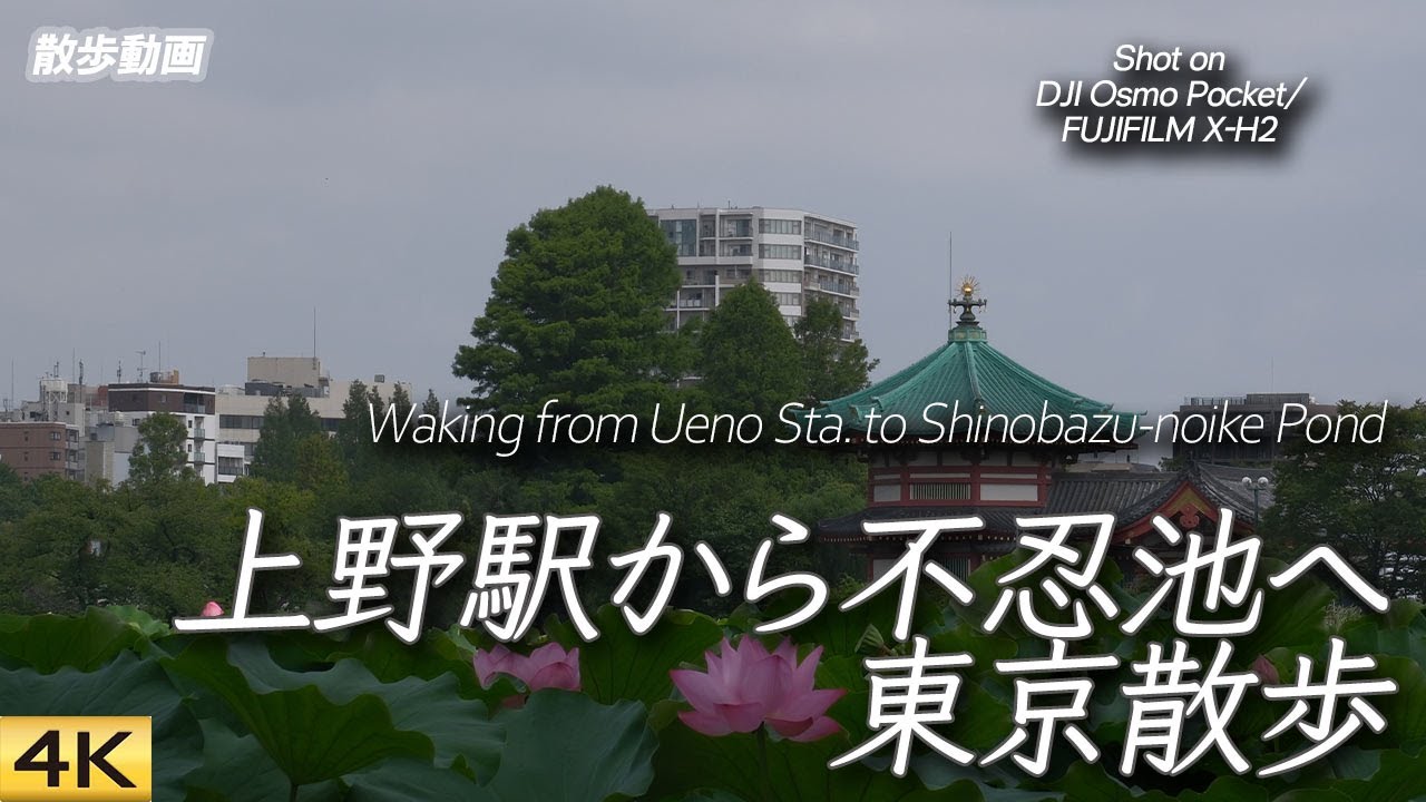 【東京散歩】上野駅から不忍池へ東京散歩 Walked from Ueno Sta. to Shinobazu-no-ike Pond, Tokyo【Osmo Pocket/4K】