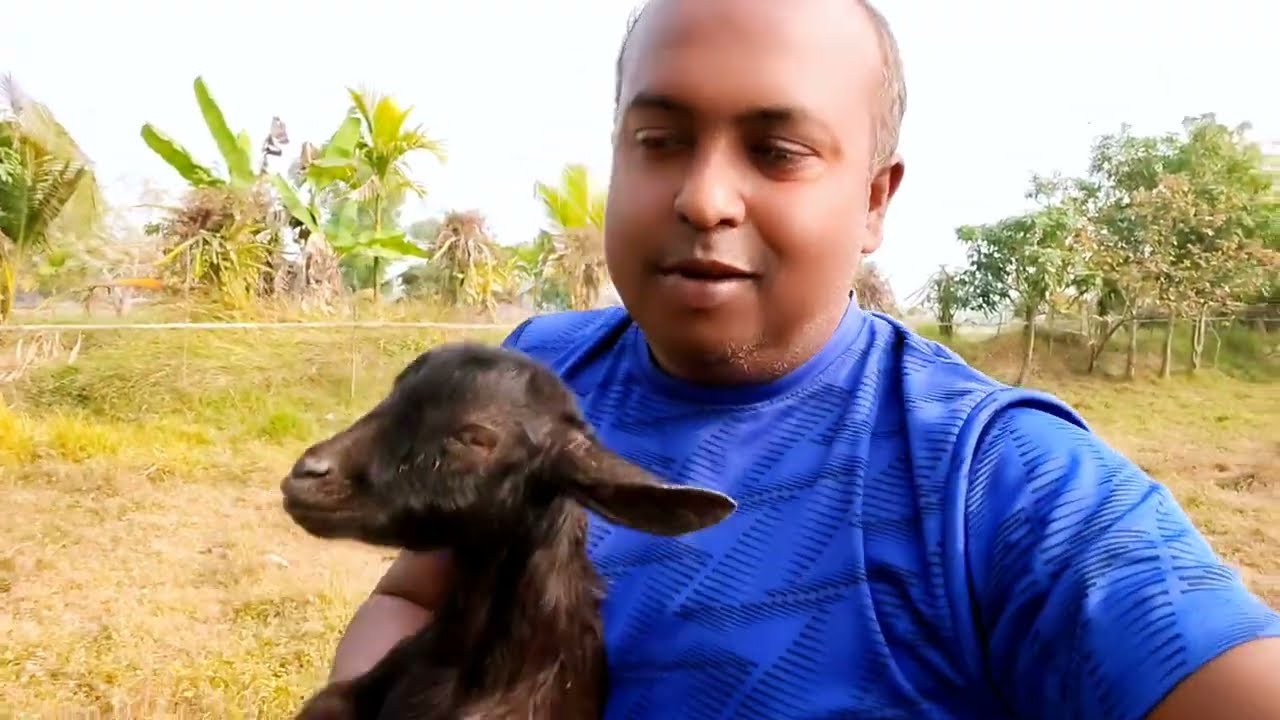 সুন্দরবন মামার বাড়ি গিয়ে নিজের হাতে মাছ ধরে রান্না করে খেলাম 😋 | পুরো রিয়েল