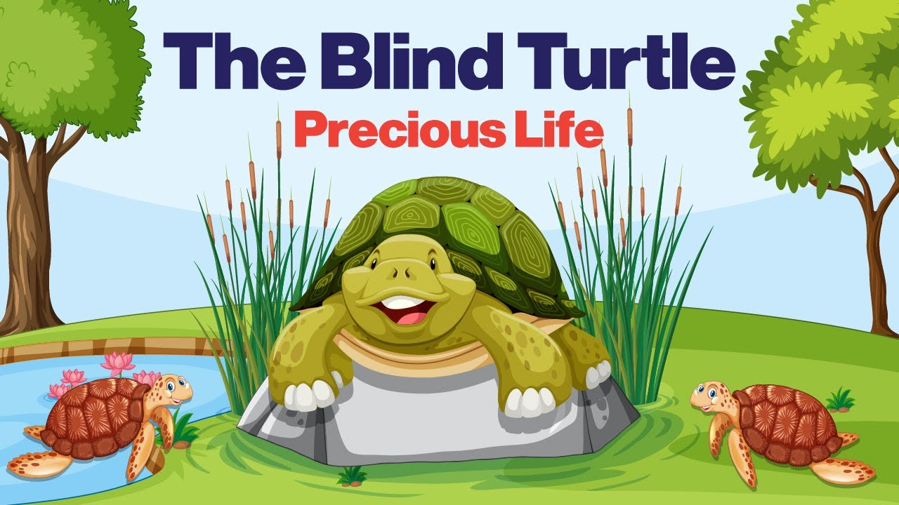 The Blind Turtle Precious Life || Kids Moral Story ||  English Stories For Kids || 