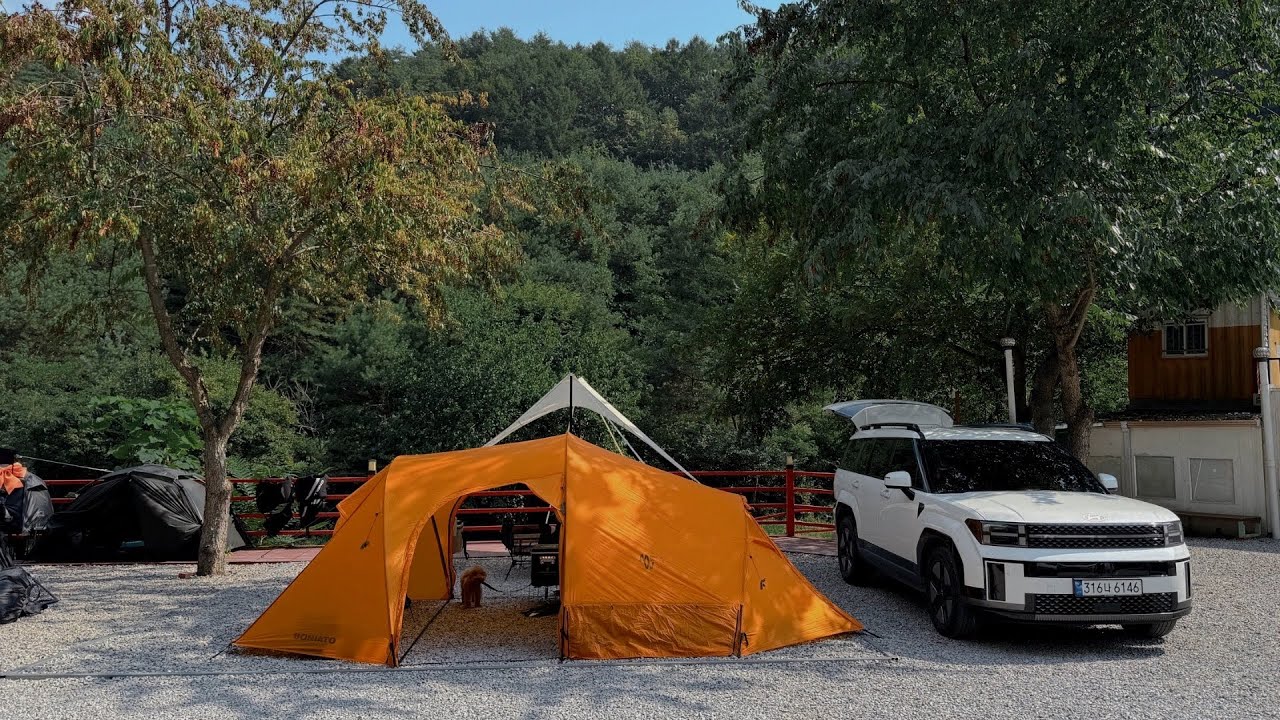 영월 캠핑장 ⛺️ 늦어버렸지만 올 여름 마지막 이었던 계곡캠핑장 에서 제대로 한풀이 🏕️ 이제 가을캠핑 준비 해야지..? 애견동반캠핑ㅣ가족캠핑 브이로그
