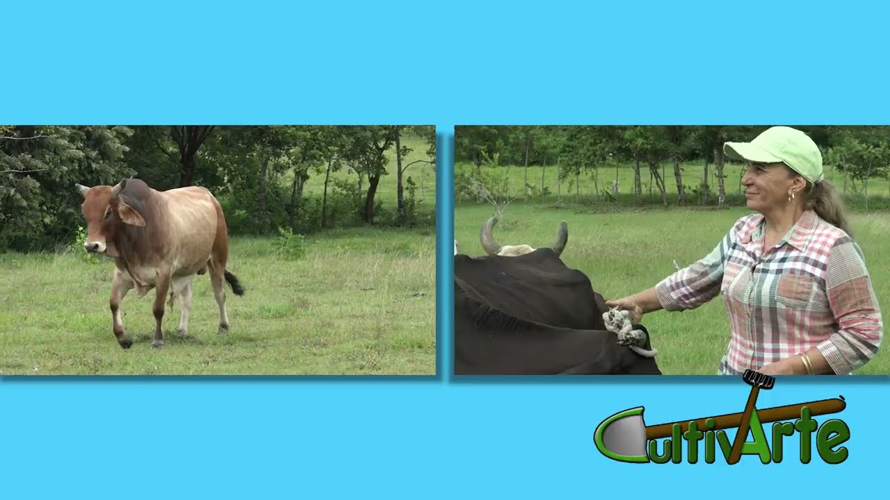 Día internacional de la mujer rural