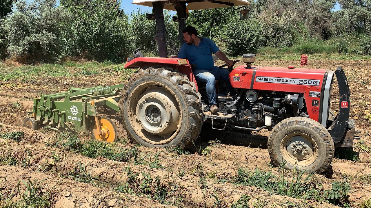 1 DEKAR 5 TON PATATES VERİYOR (ÖDEMİŞ OVASI)