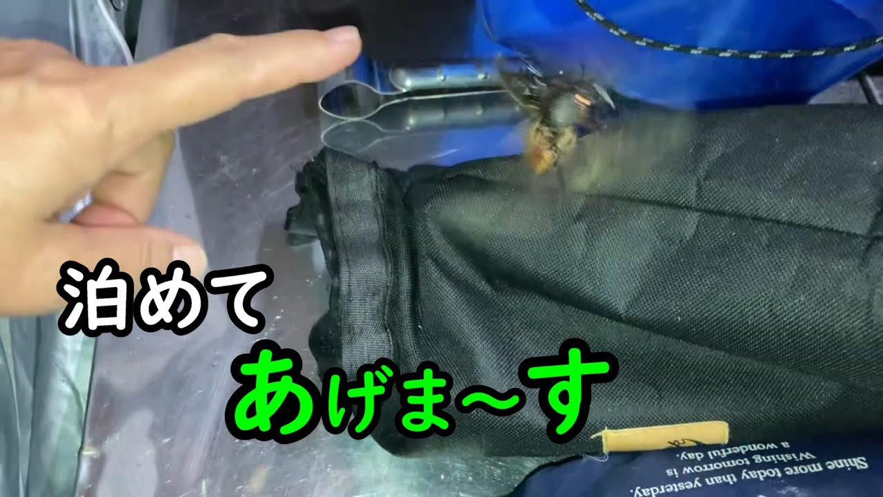 【毎回雨キャン...。】こだな日、普通キャンプしねべした。　観音岩キャンプ場