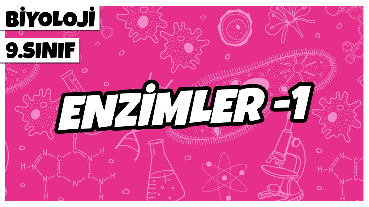 9. Sınıf Biyoloji - Enzimler -1 | 2022
