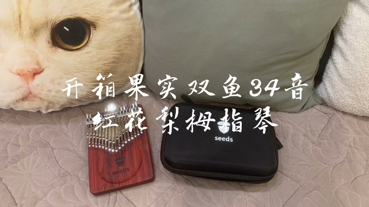 Unboxing kalimba Seeds 34keys |開箱果實卡林巴琴34音红花梨