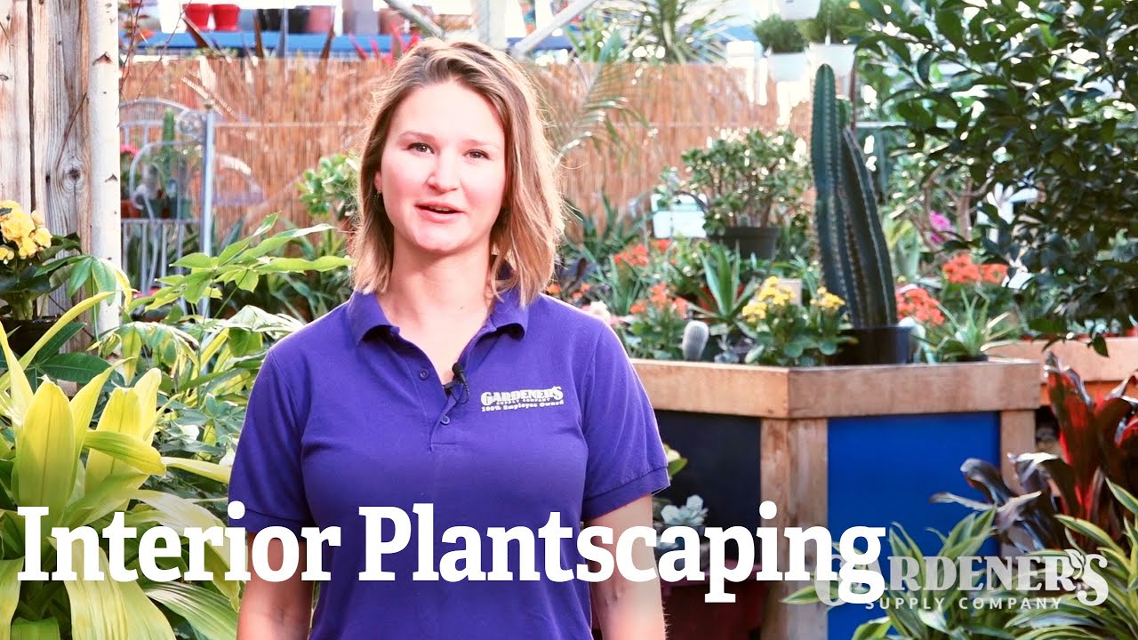 Interior Plantscaping