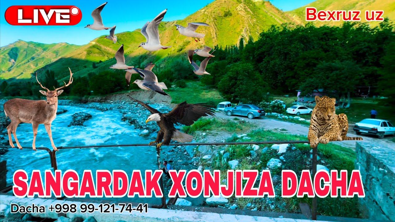 Sariosiyo Xonjiza Mahallasi Dachalari Sangardak Dam Olish Maskani+998 99-121-74-41 #bexruz_uz#dacha