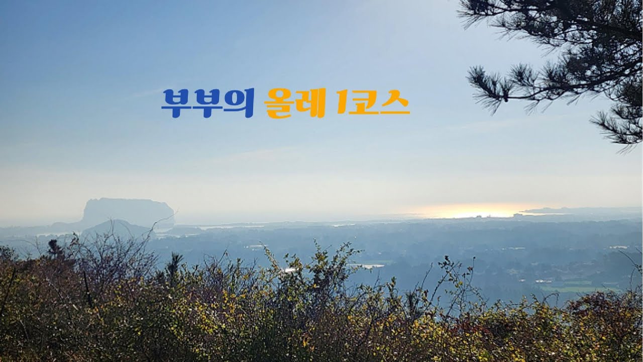 부부의 올레 1코스