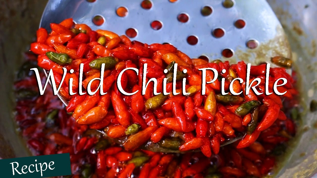 Wild Chili Pickle