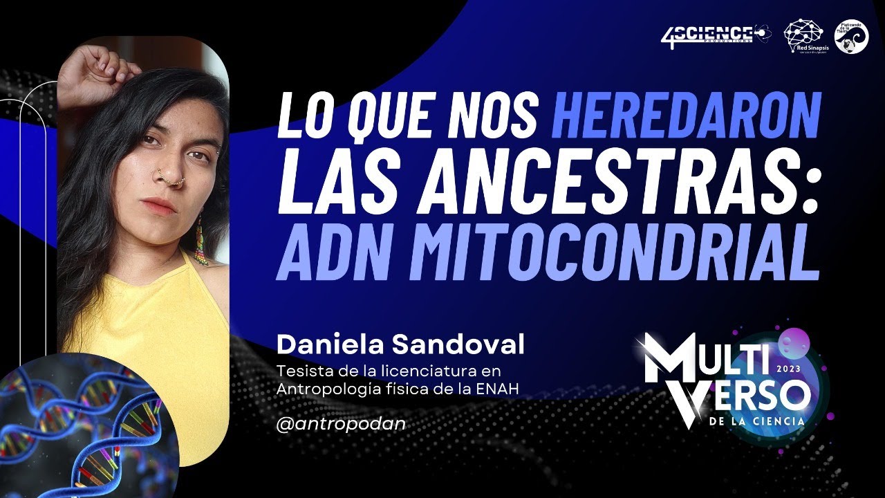 🧬 Lo que nos Heredaron las Ancestras: ADN Mitocondrial 🧬