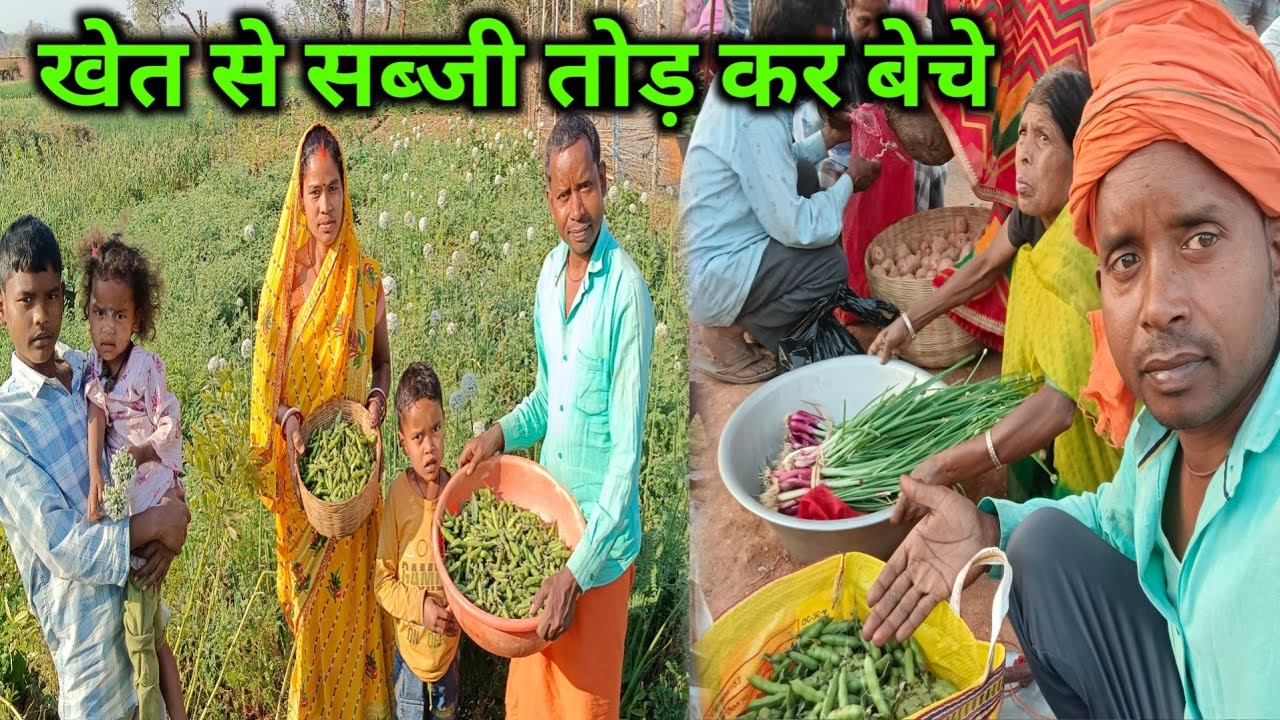 खेत से सब्जी तोड़ कर बाजार में बेचे || कितना पैसा हुआ || ramesh raj vlog 