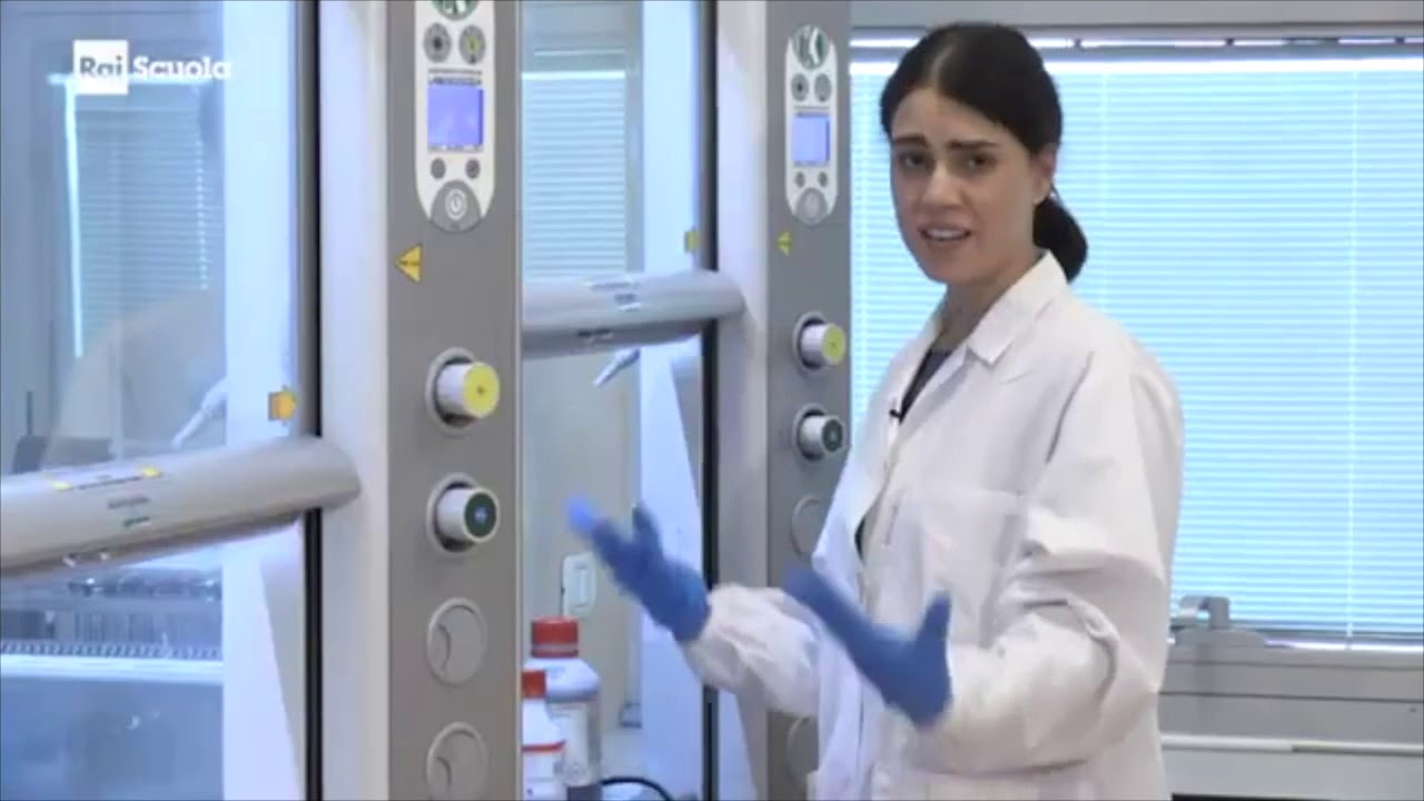 Newton - Esperimenti sulle piante alimentari con Laura de Gara e Elisa De Arcangelis