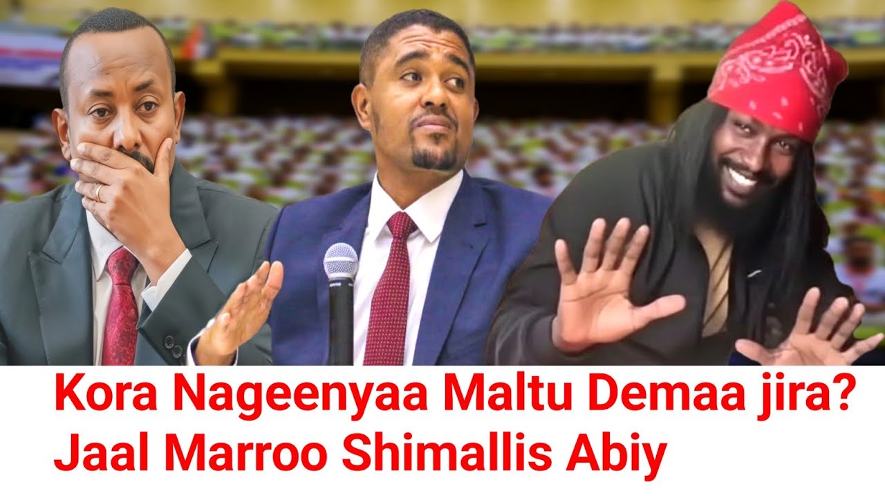 ODUU Hatattamaa Jaal marroo Shimallis Abiy Marii  godhaani ? | Moha Oromo 