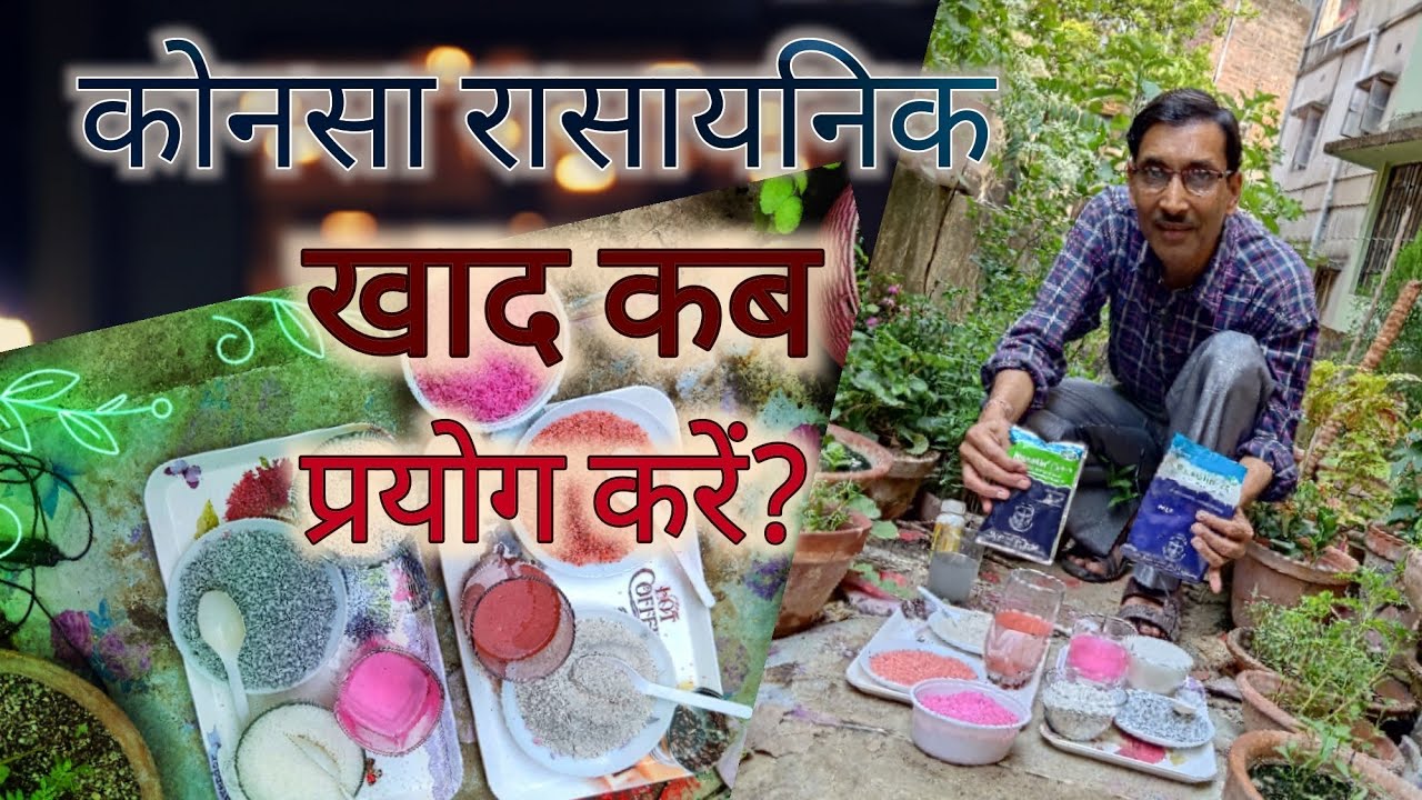 कौनसा रासायनिक खाद कब और कैसे प्रयोग करें / Uses of Chemical fertilizer