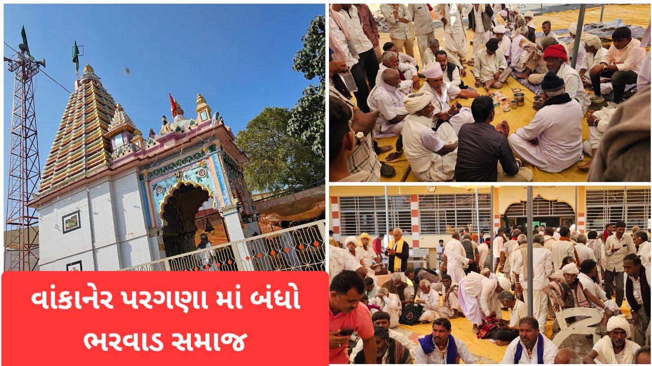 વાંકાનેર પરગણા માં બંધો ભરવાડ સમાજ માં 🙏#vairalvideo #wakaner#trending #vairal #surat#morbi#rajkot 