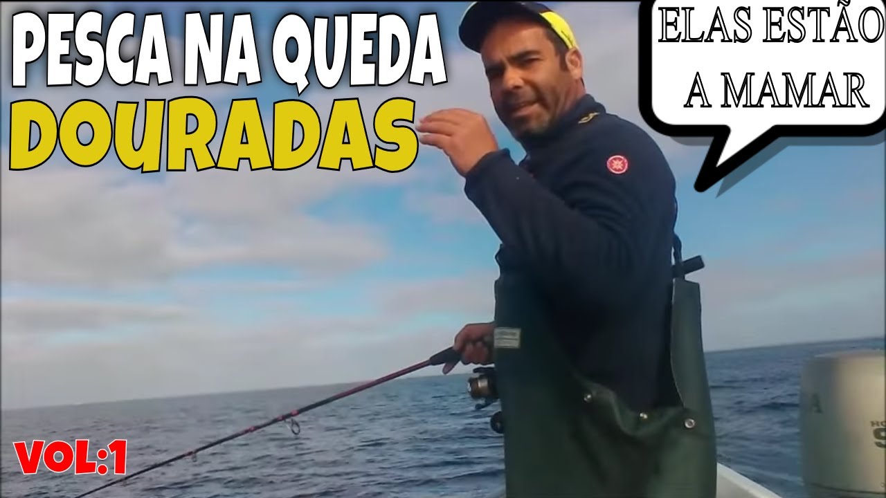 ELAS ESTÃO A "MAMAR" CHUMBADINHA - PESCA NA QUEDA VOL1/FISHING GILTHEAD SEA BREAM IN THE FALL/ 金头鲷