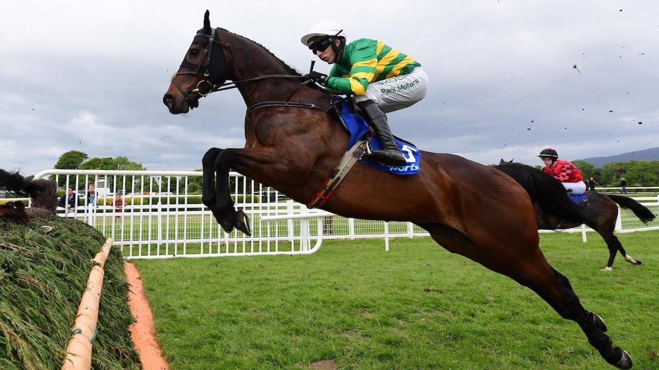 HERCULE DU SEUIL lands Grade Three feature at Killarney