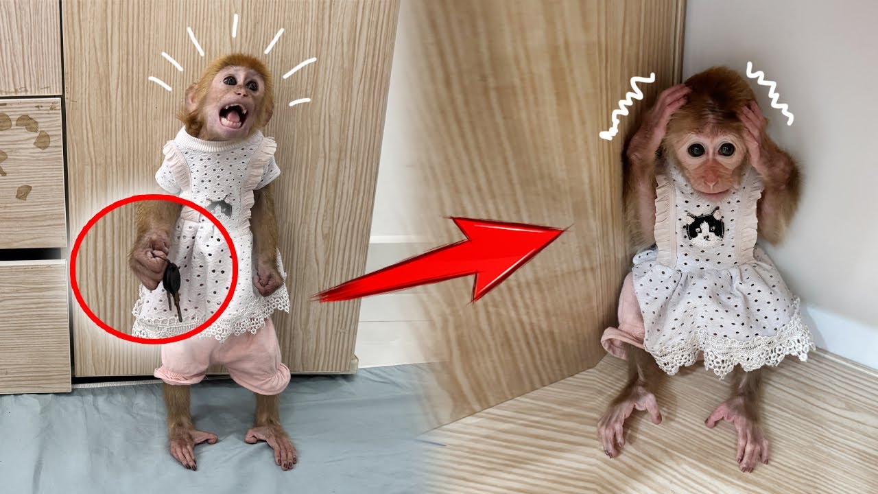 Sunny got locked in the closet! Was Lucky the one behind it?