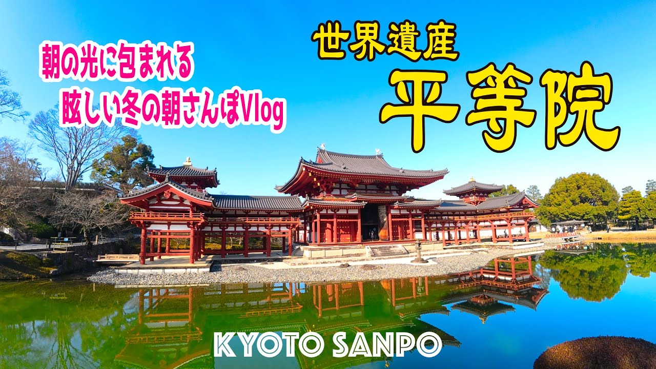 2026/1/18 (日) ❄️朝の光に包まれる宇治☀️ 世界遺産『平等院』をゆっくり歩く 贅沢な朝時間を過ごす /冬の京都/冬さんぽ/Kyoto walk [京都4K]