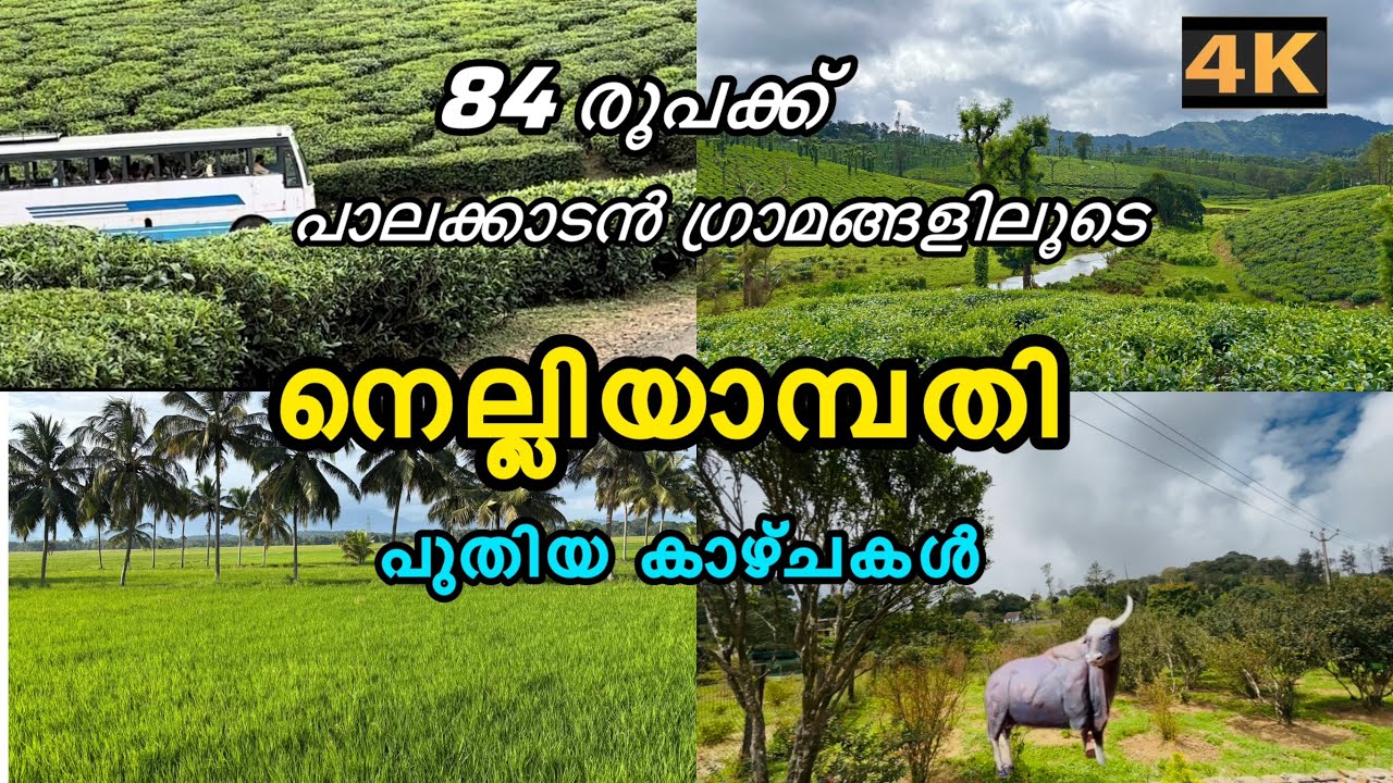 നെല്ലിയാമ്പതിയിലെ പുതിയ കാഴ്ചകൾ|nelliyambathy