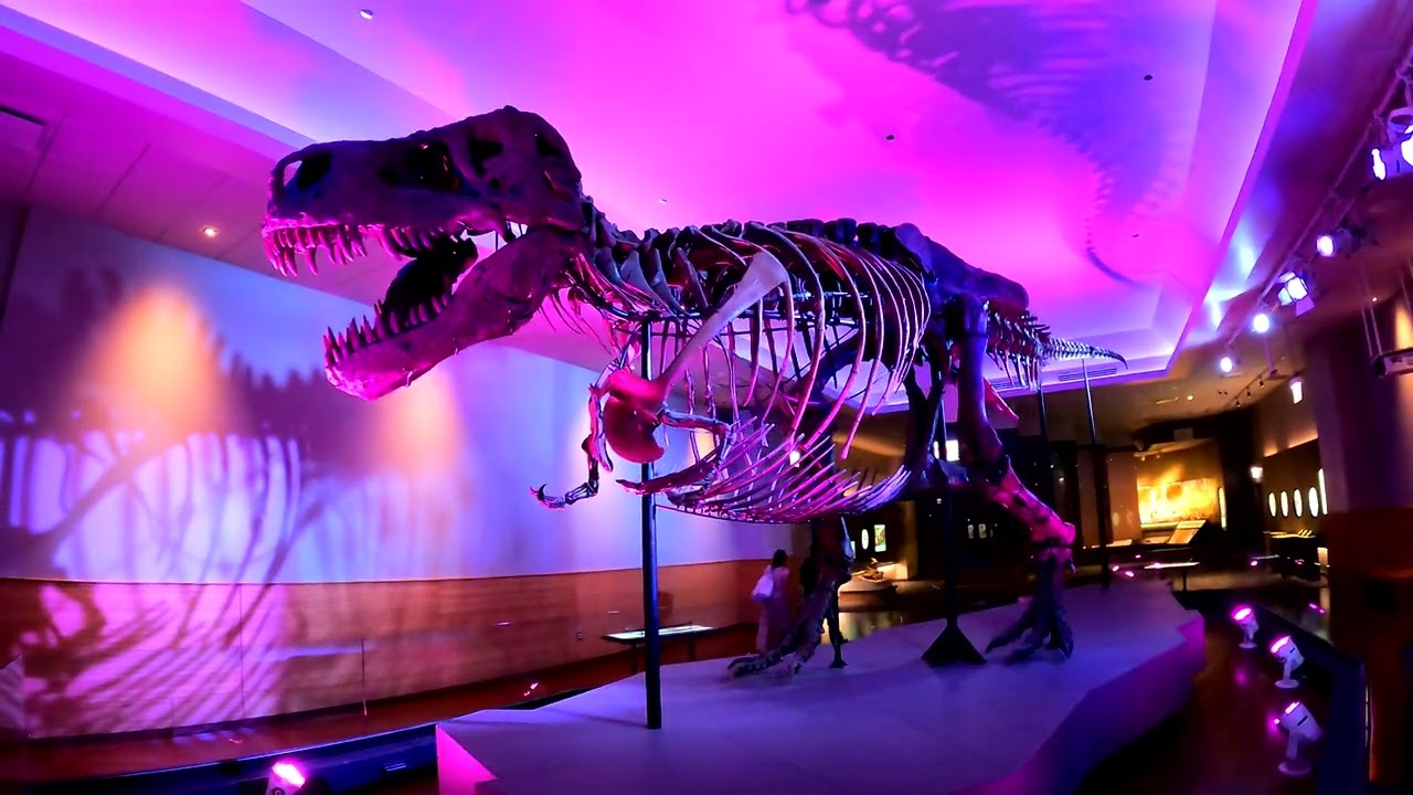 Field Museum in Chicago