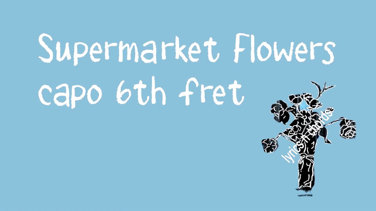 supermarket flowers ed sheeran lyrics n chords