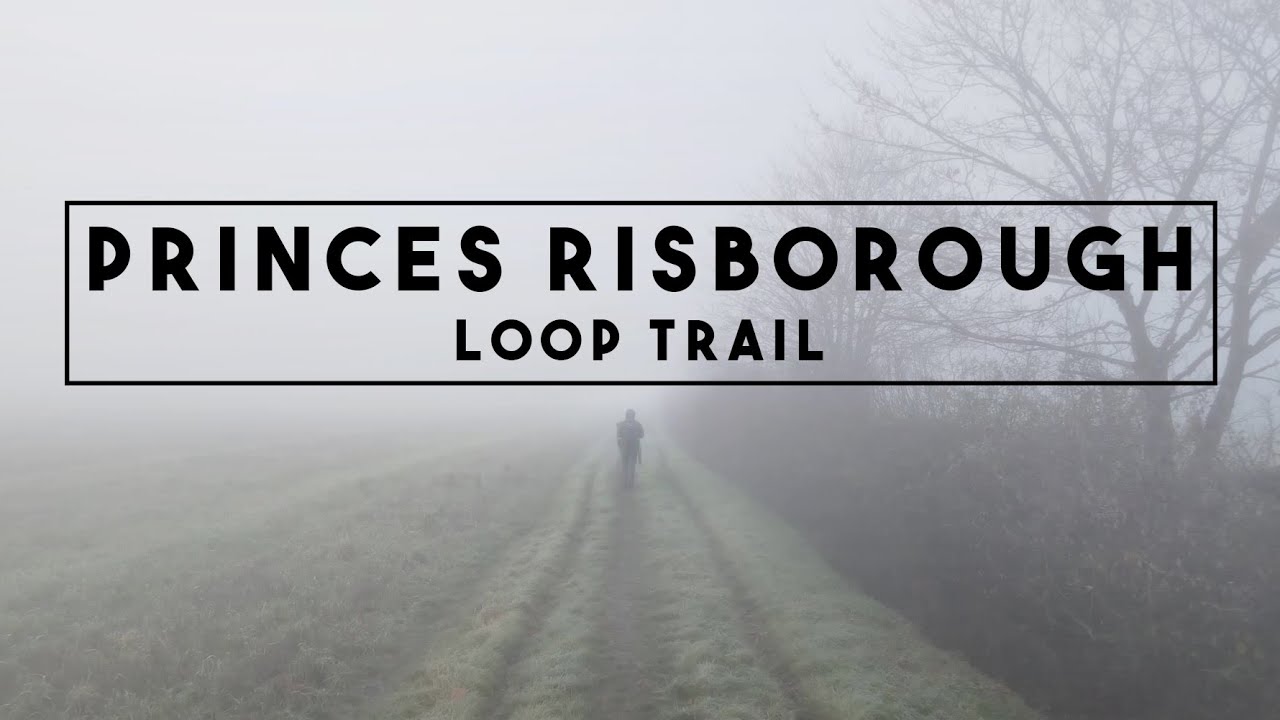 Hiking in the fog in the Chiltern Hills
